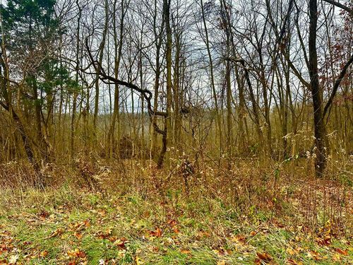 560 Landrum Rd, Bainbridge, OH, 45612-9752 | Card Image