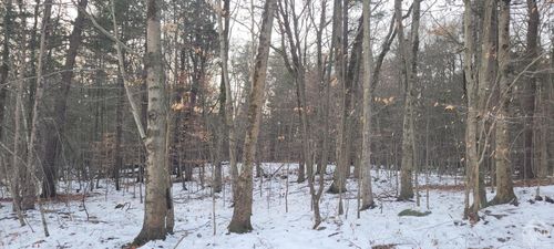 18 High Acres Lane (Rd), Greenville, NY, 12083 | Card Image