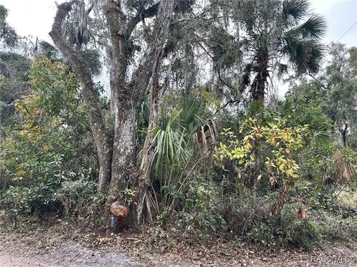 800 Sweet Gum Way, Inverness, FL, 34453 | Card Image