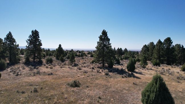 Lot 4 Sunset Ridge Road, Home with 0 bedrooms, 0 bathrooms and null parking in Newcastle WY | Image 14
