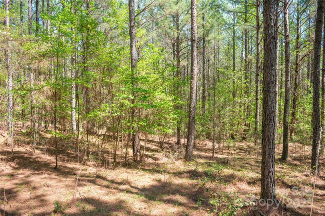 69 - 144 Whispering Pines Ln, Home with 0 bedrooms, 0 bathrooms and null parking in Mooresboro NC | Image 8