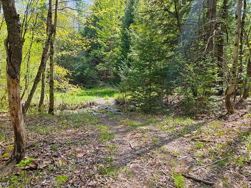 Lot 4 Berry Road, Berkshire, VT, 05450 | Card Image