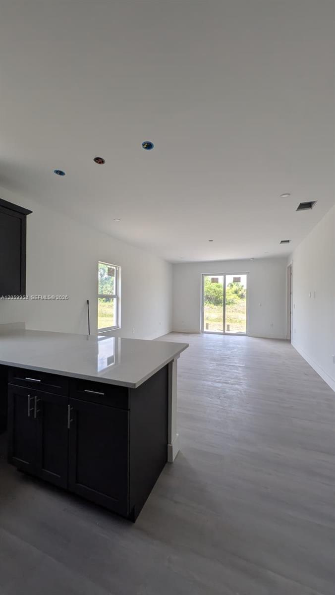 Residential in Lehigh Acres 4