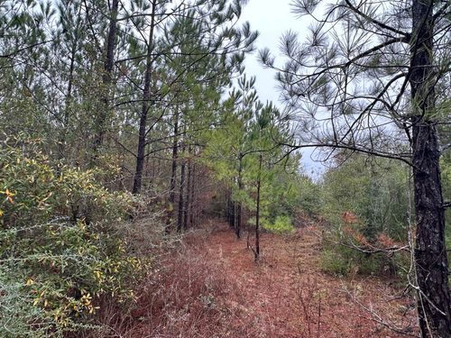 north-2-6418 Mattox Springs Rd, Caryville, FL, 32427 | Card Image