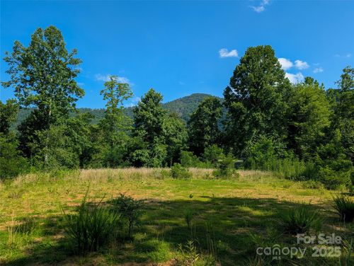 303 Festive Pine Trl, Green Mountain, NC, 28740-0256 | Card Image