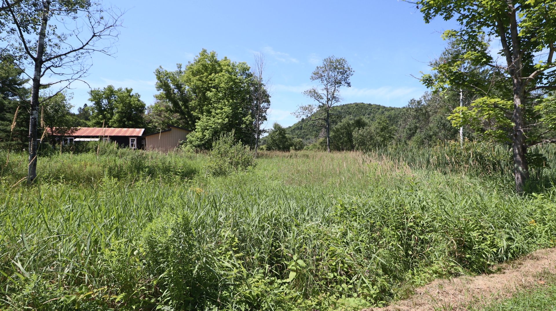Land in Papineauville 5