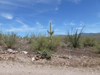 75 - 0 parcel D N Columbia Trail, Home with 0 bedrooms, 0 bathrooms and null parking in Morristown AZ | Image 2