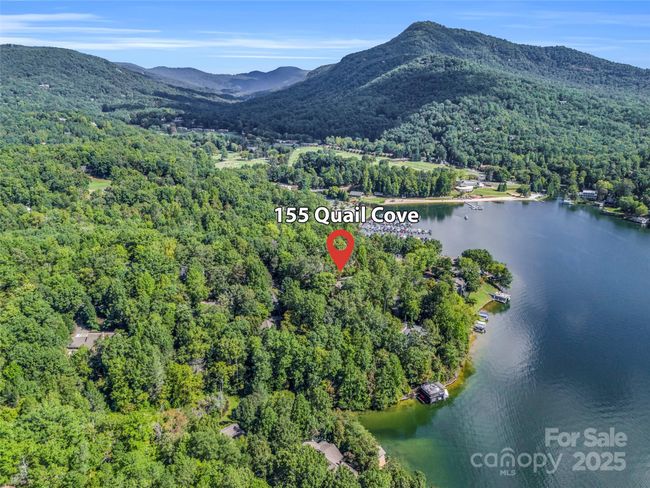 UNIT-1615 - 155 Quail Cove Blvd, Condo with 3 bedrooms, 3 bathrooms and null parking in Lake Lure NC | Image 31