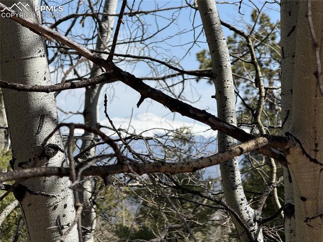 242 Apache Creek Dr, Home with 0 bedrooms, 0 bathrooms and null parking in FLORISSANT CO | Image 11