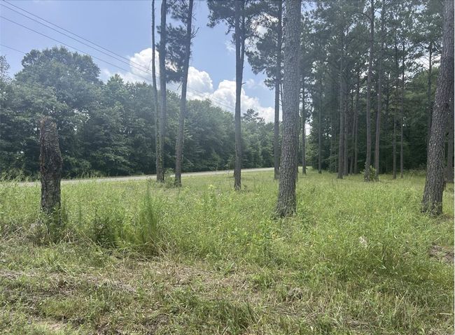 185 Forrest Rd, Home with 0 bedrooms, 0 bathrooms and null parking in Huntington TX | Image 16