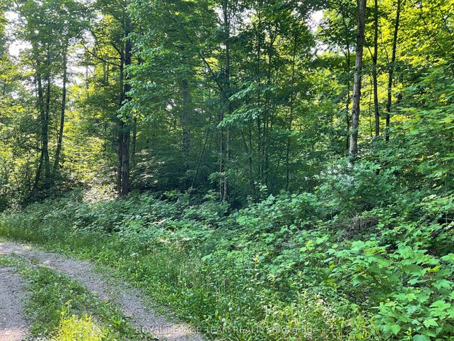 0 County Rd 511, Home with 0 bedrooms, 0 bathrooms and null parking in Lanark ON | Image 8