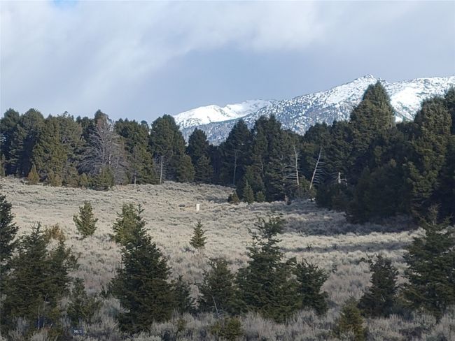 3 Bivens Creek Ridge Road, Home with 0 bedrooms, 0 bathrooms and null parking in Sheridan MT | Image 7