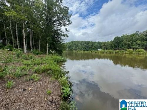 lot-8-Lot 9 County Road 499, WOODLAND, AL, 36280 | Card Image