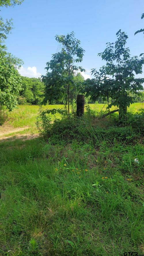 15907 &amp; 15862 Cr 46, Tyler, TX, 75704 | Card Image