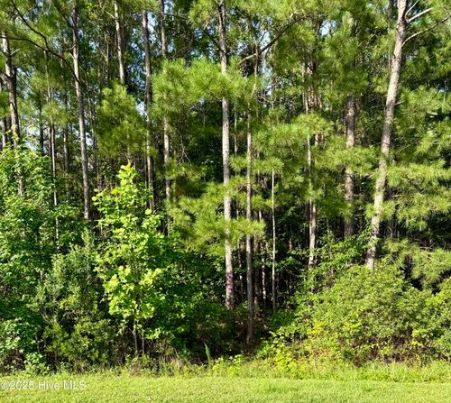 111 Marie Ct, Havelock, NC, 28532-9439 | Card Image