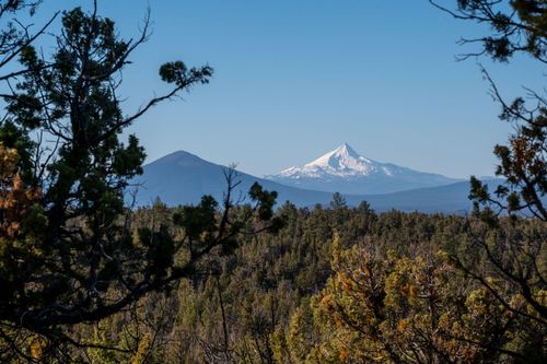 64837 Collins Rd, Bend, OR, 97703-9228 | Card Image