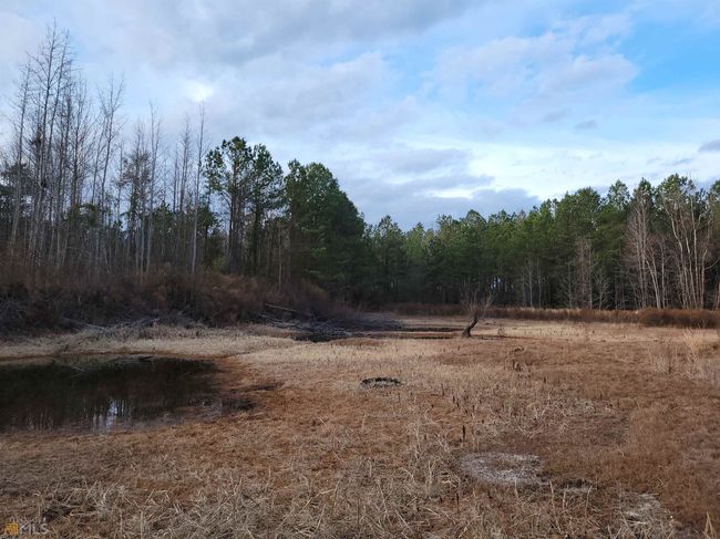 2757 Us Highway 1 N, Home with 0 bedrooms, 0 bathrooms and null parking in swainsboro GA | Image 23