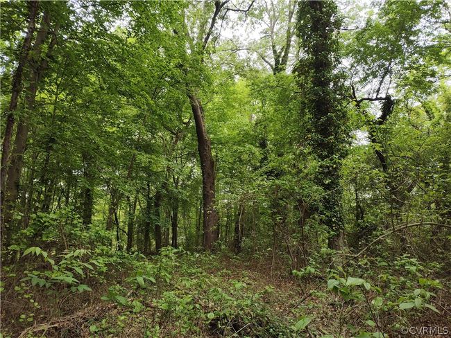 0 Old Church St, Home with 0 bedrooms, 0 bathrooms and null parking in Claremont VA | Image 22