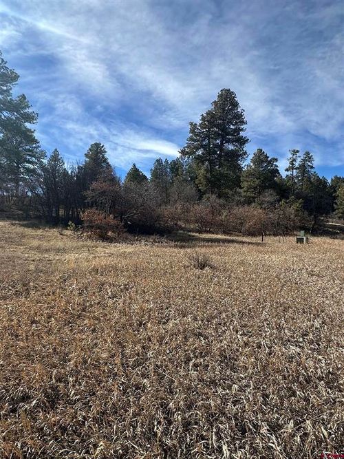 90 Chase Ct, Pagosa Springs, CO, 81147-8193 | Card Image