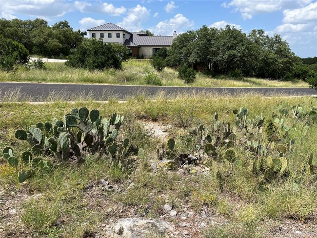 View of undeveloped land | Image 11