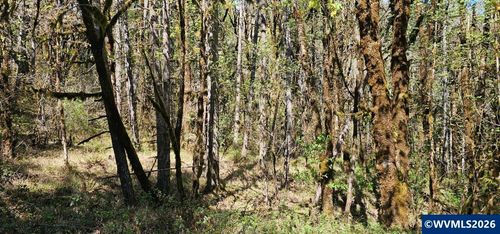 Lot 7 Iris Cir, Philomath, OR, 97370 | Card Image