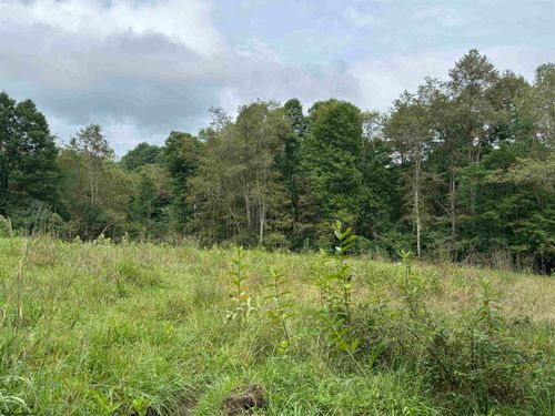 96 Donnie Hill Rd, Belington, WV, 26250-1406 | Card Image