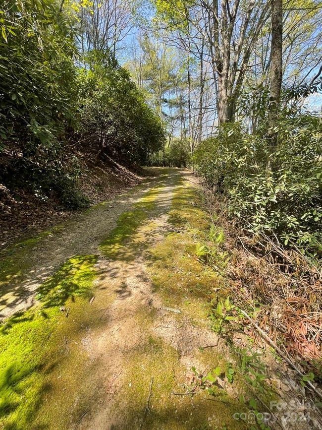 0000 Cawood Ln, Home with 0 bedrooms, 0 bathrooms and null parking in Clyde NC | Image 4