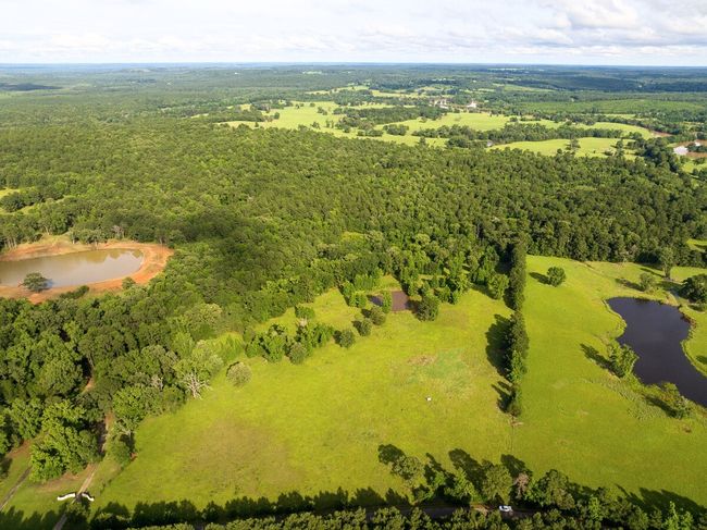 Drone / aerial view of a large body of water and a forest | Image 5