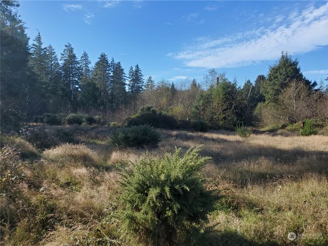 36602 Stackpole Rd, Home with 0 bedrooms, 0 bathrooms and null parking in Oysterville WA | Image 14