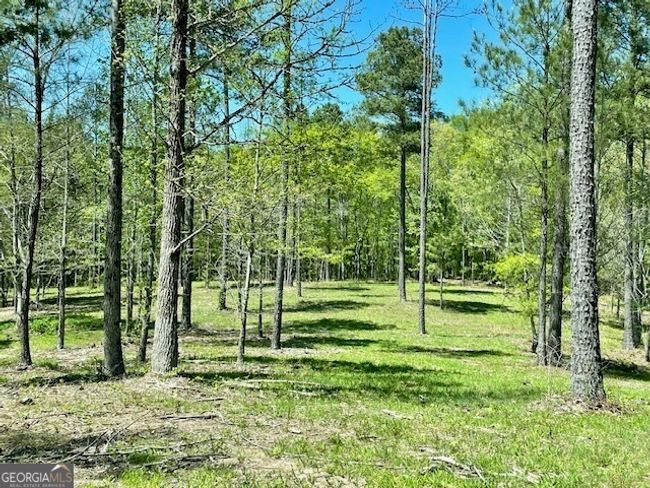 1276 Hornets Bridge Rd, Home with 0 bedrooms, 0 bathrooms and null parking in Elberton GA | Image 13