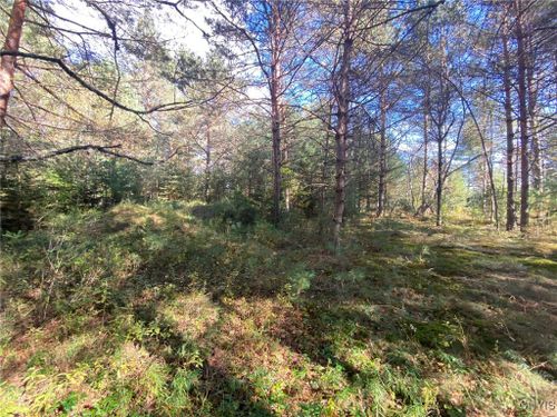 Lot 3 State Route 28, Forestport, NY, 13438 | Card Image