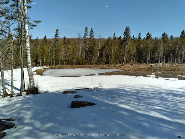 20833 Highway 118, Home with 0 bedrooms, 0 bathrooms and null parking in Wilberforce ON | Image 9