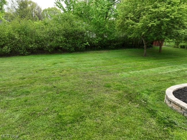 View of grassy yard | Image 7