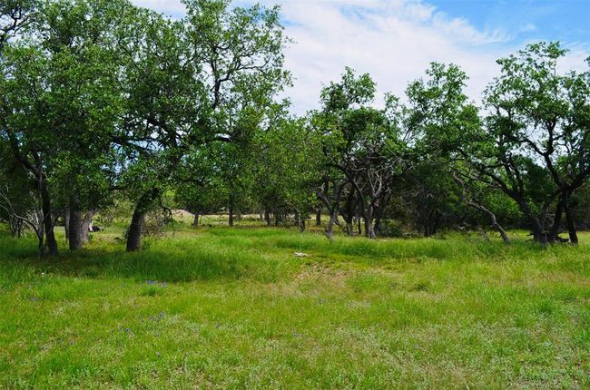 560 Longview Rd, Home with 0 bedrooms, 0 bathrooms and null parking in Dripping Springs TX | Image 33
