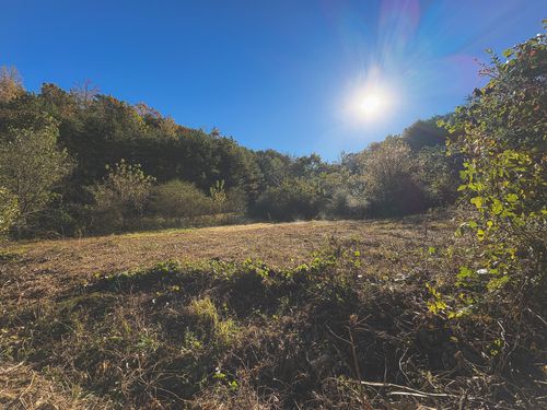 3 Brookstone Heights Ln, Dayton, TN, 37321 | Card Image