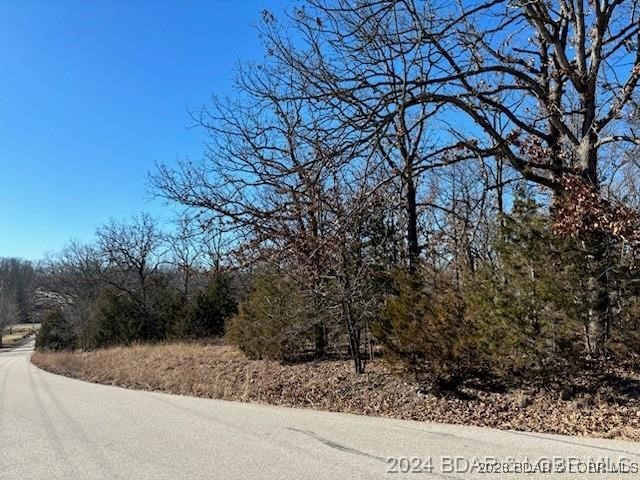 Land in Camdenton 3