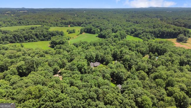 431 Grindstone Creek Dr, House other with 5 bedrooms, 4 bathrooms and null parking in Clarkesville GA | Image 51
