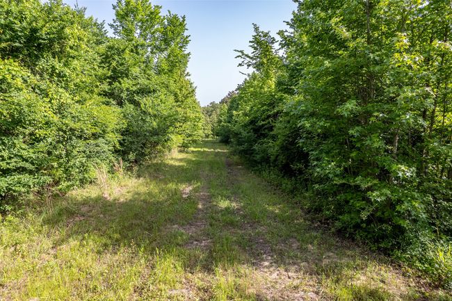 0 Johnson Rd, Home with 0 bedrooms, 0 bathrooms and null parking in Winona TX | Image 34
