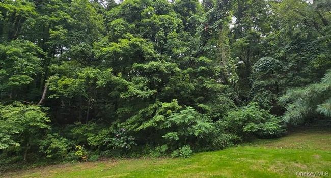 View of tree filled area | Image 21