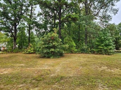 Lot 210 Schoolwood Cove, Home with 0 bedrooms, 0 bathrooms and null parking in Redfield AR | Image 3