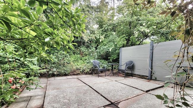 wow space to BBQ/Garden/Veg out! | Image 18