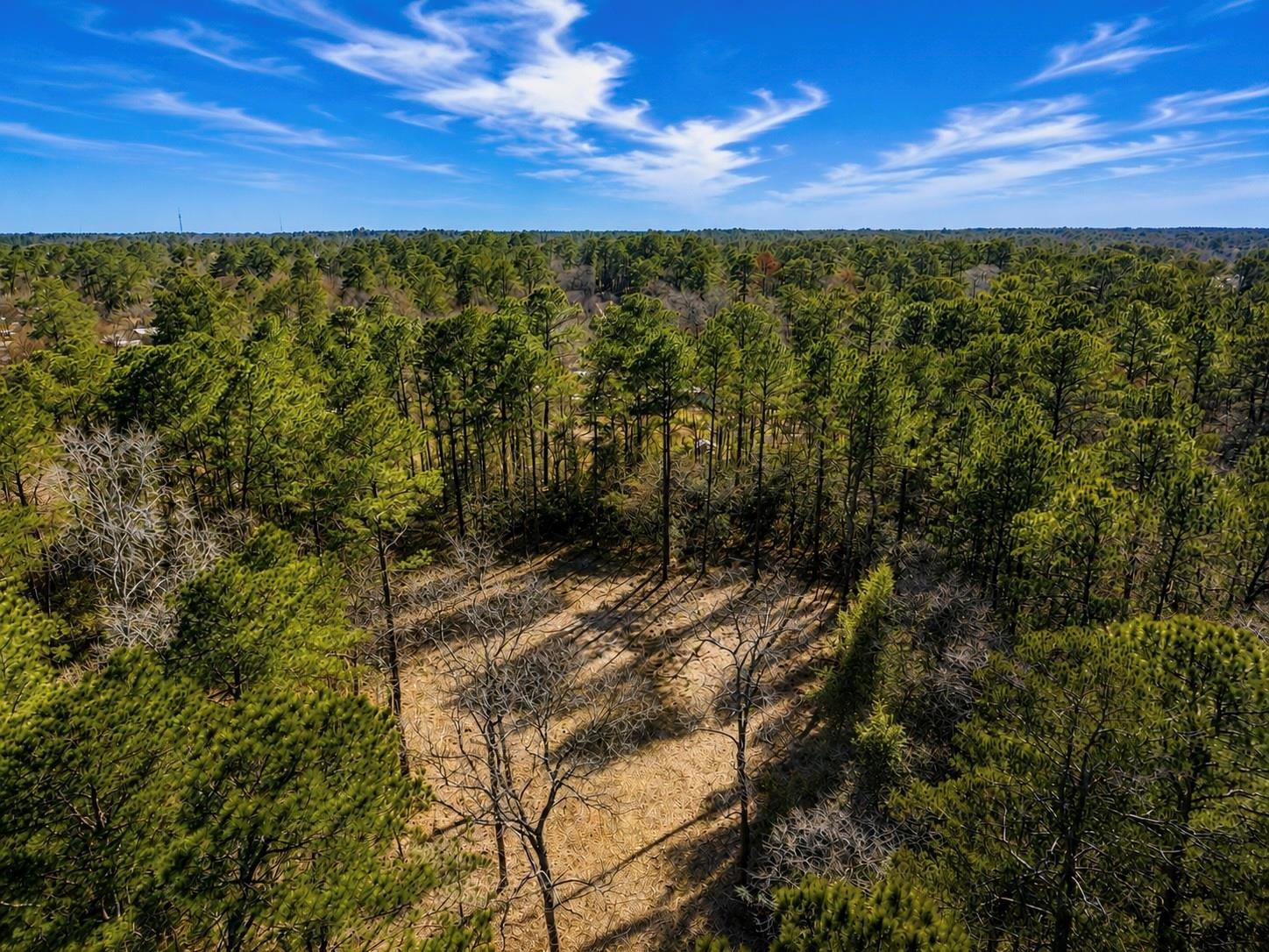 Land in Magnolia 3
