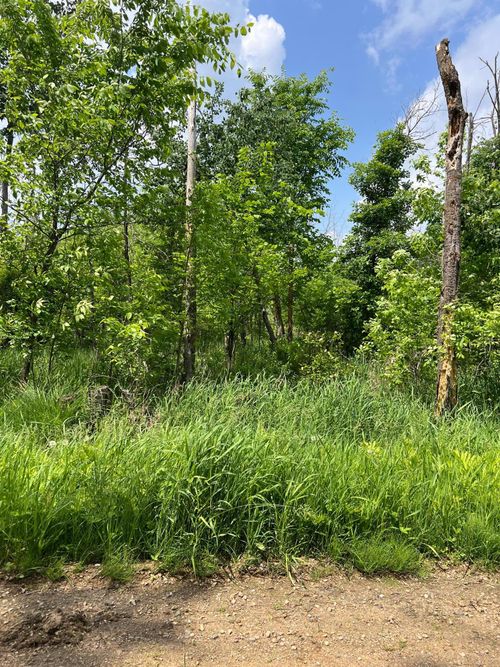 TBD Gumwood Ln, Motley, MN, 56466 | Card Image