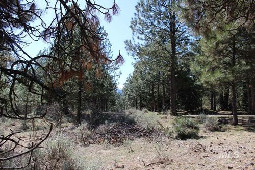 1494 Pine Ridge Dr, Cascade, ID, 83611 | Card Image
