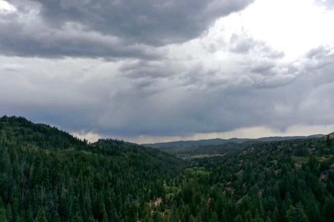20 Acres | Image 9