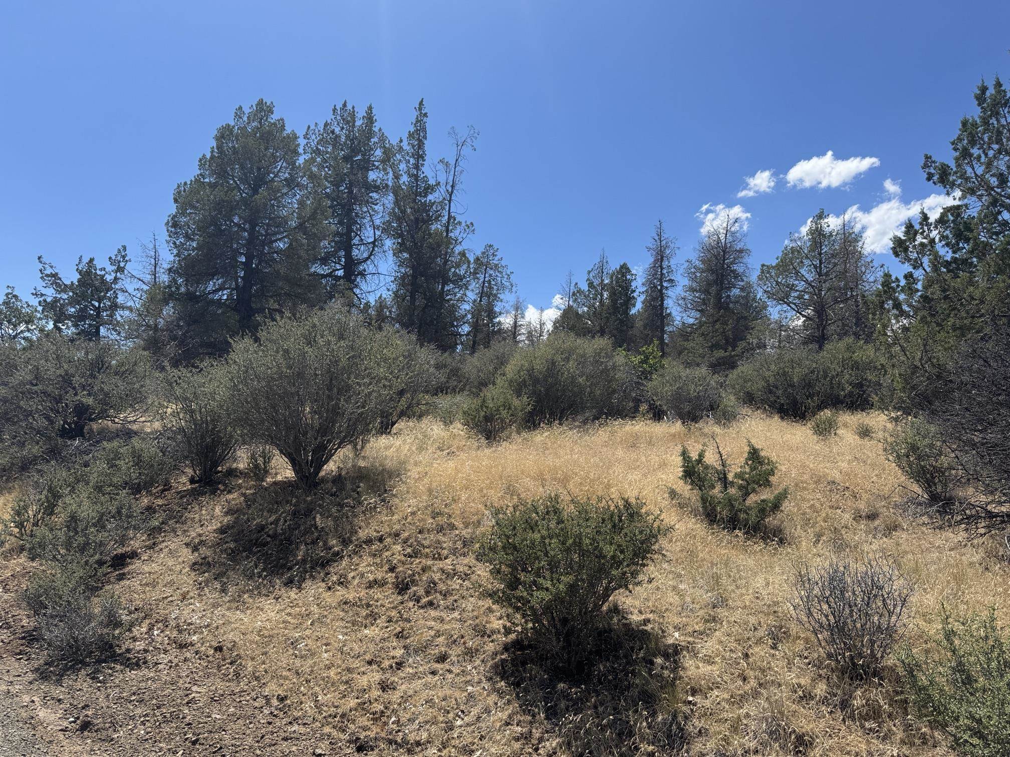 Land in Hornbrook