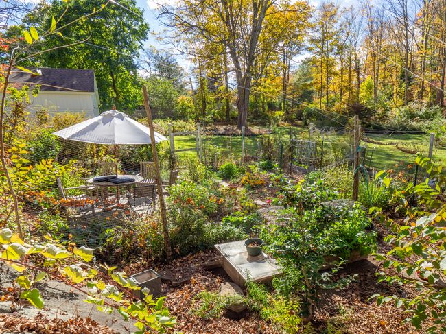 Garden patio in fall | Image 10