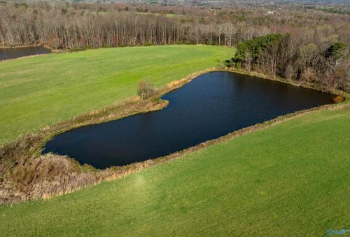 85 acres Woodland Dr, Ider, AL, 35981 | Card Image