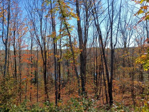 80-ac-ON Kornstead Rd, Mellen, WI, 54546 | Card Image