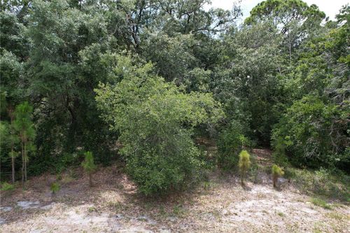 1008 Wildflower St, LAKE PLACID, FL, 33852 | Card Image